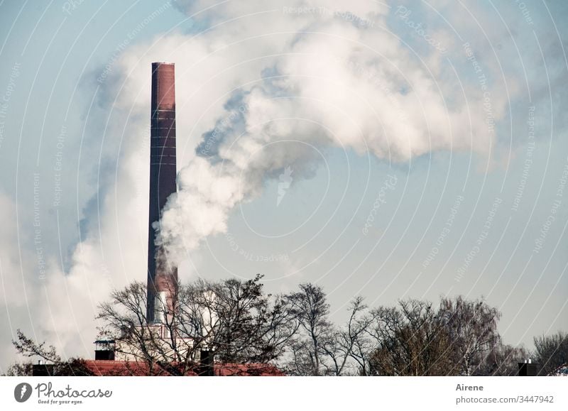 Klimawandel | Papierfabrik arbeitet auf Hochtouren Tag Energie Umweltverschmutzung Rauchen Abgas Schornstein Menschenleer weiß Industrieanlage fabrikschornstein