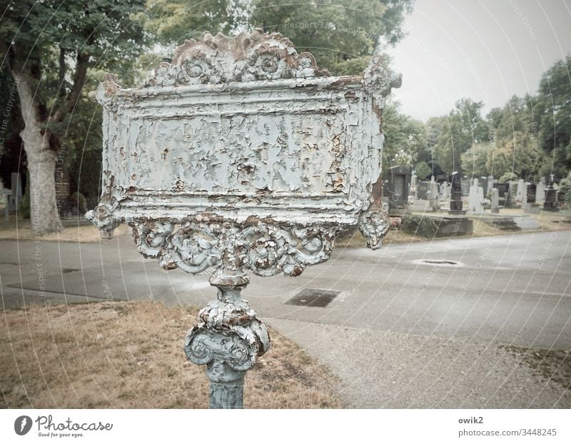Wegweiser Friedhof Gräber Schild alt historisch verrostet Zahn der Zeit Metall Verzierung Ornament Schnörkel Straße Asphalt Bäume Vergänglichkeit Vergangenheit