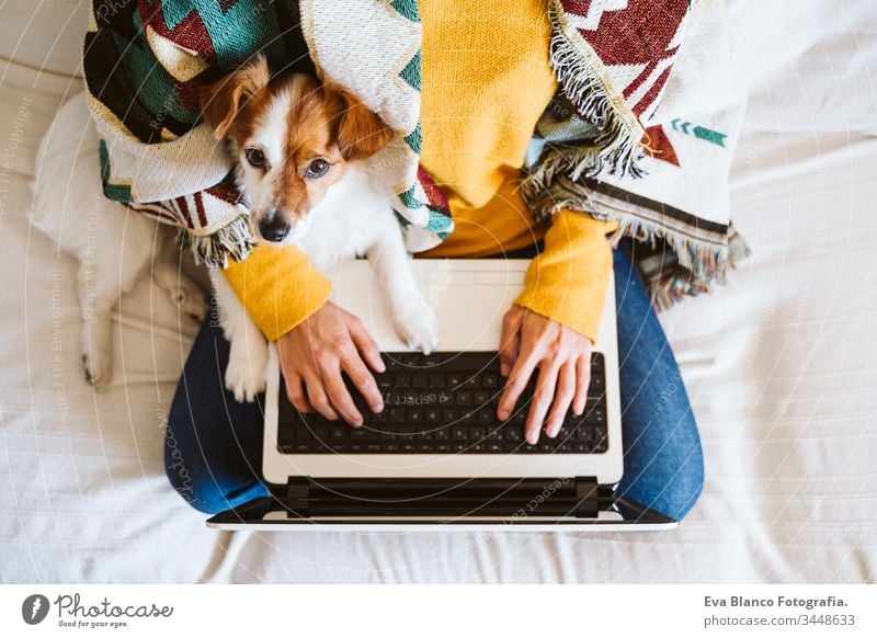 junge Frau, die zu Hause am Laptop arbeitet, auf der Couch sitzt und eine Schutzmaske trägt. Daneben ein süßer kleiner Hund. Konzept "Bleib zu Hause" während Coronavirus covid-2019