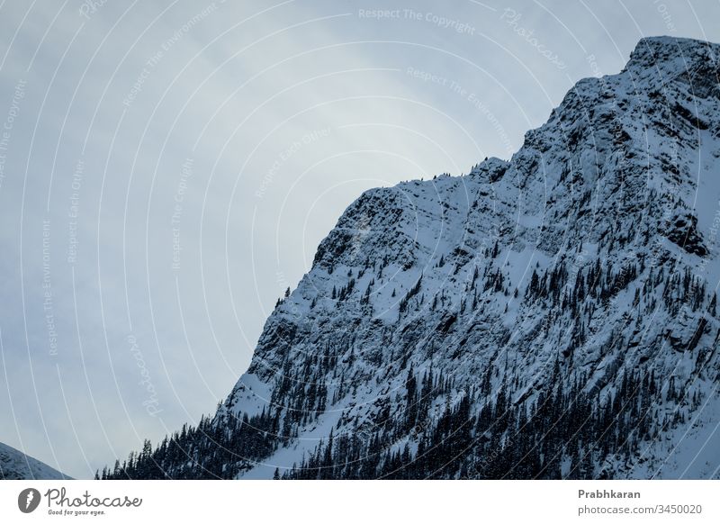 Berg in. Banff Berge u. Gebirge Schnee Winter Kanada Alberta Nordamerika Farbe Landschaft Banff National Park malerisch