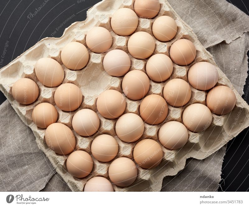 ganze runde, rohe, braune, hausgemachte Hühnereier in einem Papiertablett Schachtel Ackerbau Tier Hintergrund Vogel Frühstück Fall Hähnchen Nahaufnahme Farbe
