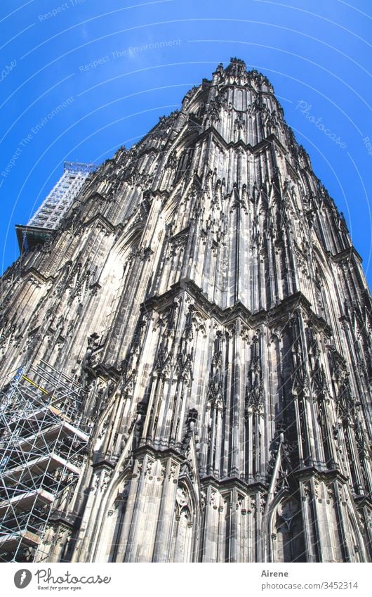 Bau an der Kunst: Renovierungsarbeiten am Kölner Dom Turm hoch blau Religion & Glaube Froschperspektive Blauer Himmel Stadt Hintergrund neutral Kirche