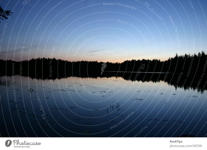 Midsommer_Schweden See Nacht Reflexion & Spiegelung Mitsommer Wasser Landschaft Natur Blekinge Holmsjö blau Himmel