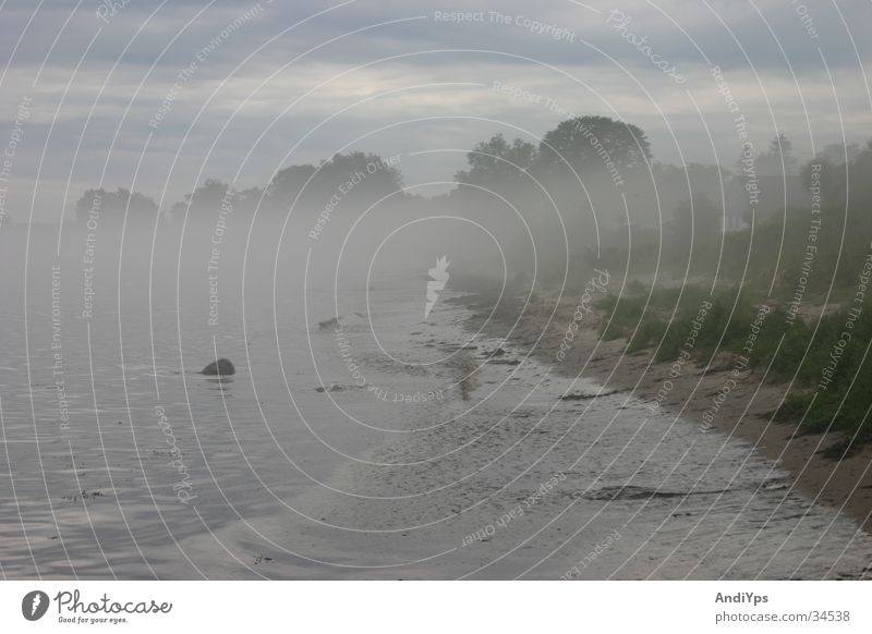 Skane_Küste Nebel mystisch Strand Schweden Landschaft Wasser Ostsee Wallander Mankell Mossby