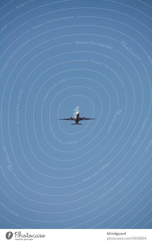 Seltener Vogel während der Corona-Krise am deutschen Himmel gesichtet. Flugzeug Flugverkehr blau weiß wolkenlos Ferien & Urlaub & Reisen Sommer Tourismus