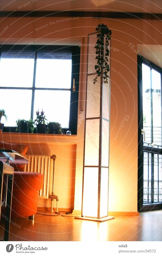 Warmes Licht Physik gelb Lampe Wohnung Raum schön Stil Häusliches Leben Wärme hell erleuchtend Dekoration & Verzierung modern neu