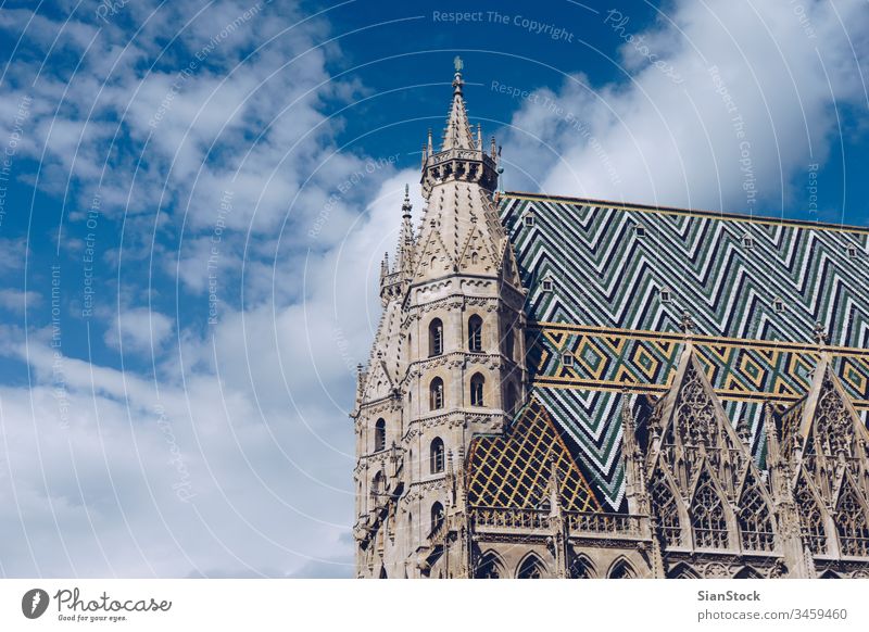 Stephansdom in Wien, Österreich M Kathedrale stephan stephen stephansdom Kirche Europa Turm Architektur Gebäude Großstadt gotisch reisen Wahrzeichen historisch