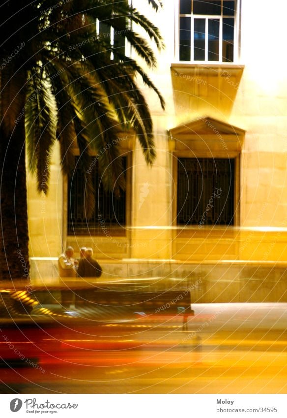 Streets of Malaga Abenddämmerung Mann Haus Spanien Andalusien Palme Fenster Langzeitbelichtung Straße sprechen PKW Unschärfe