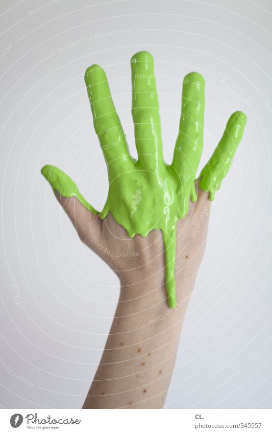 farbfoto Freizeit & Hobby Häusliches Leben Renovieren feminin Frau Erwachsene Haut Arme Hand Finger 18-30 Jahre Jugendliche 30-45 Jahre frisch einzigartig grün
