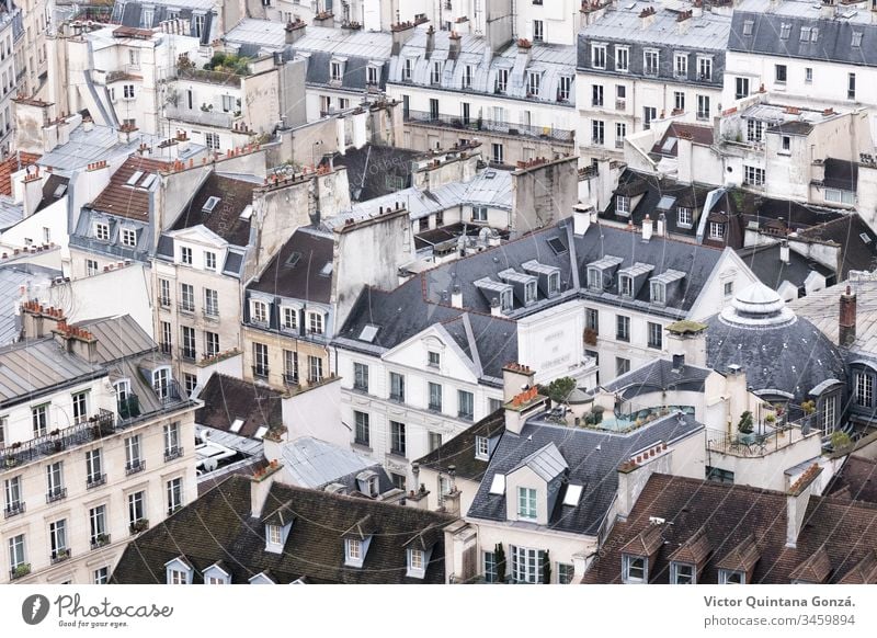 Dächer der Stadt Paris Frankreich gotisch Architektur Kunst Boulevard Gebäude Leinwand Kirche Großstadt Stadtbild Zusammensetzung Darstellung Europa Haus