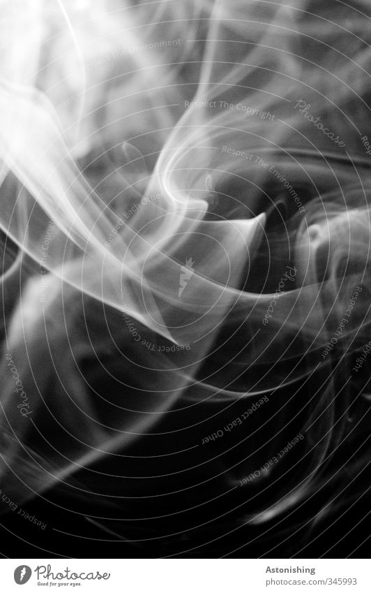 Rauch elegant Streifen Bewegung Rauchen ästhetisch kalt grau schwarz weiß Laster rauchend Kontrast Linie Politische Bewegungen Schwung leicht Nebel