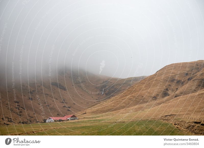 Hügelseitiges Haus in Island Ackerland Morgendämmerung fahren Europa Rundfahrt Nebel Gras Heu Landschaft Licht Wiese Berge u. Gebirge Bewegung Natur
