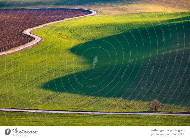 Detail einer ländlichen Landschaft in der Region Turiec, Slowakei. Slowakische Republik Bereiche Natur abstrakt Detailaufnahme Linien Muster Schatten grün