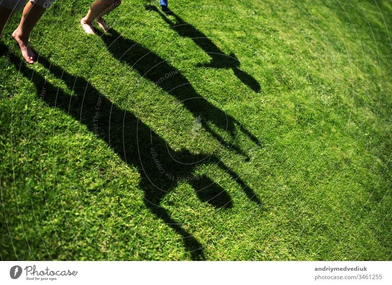 Kinder mit ihren Schatten auf dem Gras. Silhouetten von drei Personen, die mit hochgestreckten Händen stehen wachsend Hintergrund weiß Natur Menschen Spiegel