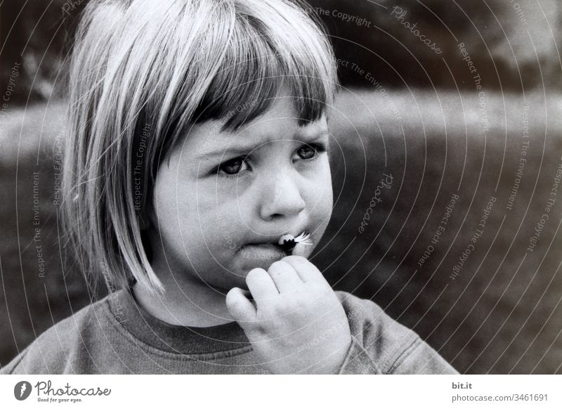 Mädchen isst Gänseblümchen im Garten spielerisch süß Leben Erziehung Kindererziehung Kinderspiel Porträt Denken Sorge besorgt Traurigkeit traurig Kindheit