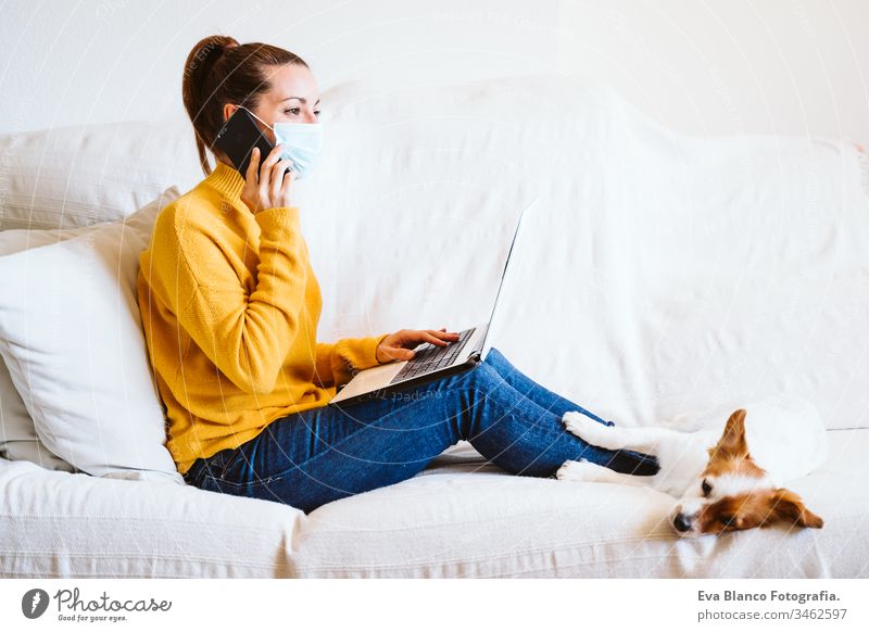 junge Frau, die mit Laptop und Mobiltelefon arbeitet, daneben süßer kleiner Hund. Auf der Couch sitzend, Schutzmaske tragend. Bleiben Sie zu Hause Konzept während Coronavirus covid-2019