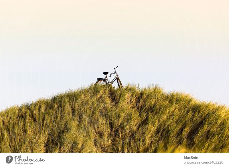 Fahrrad in einer Dünen Landschaft farrrad seegras dünen deich nordsee sylt westerland sonnenaufgang sonnenuntergang hügel urlaub ferien entspannen fahrradtour