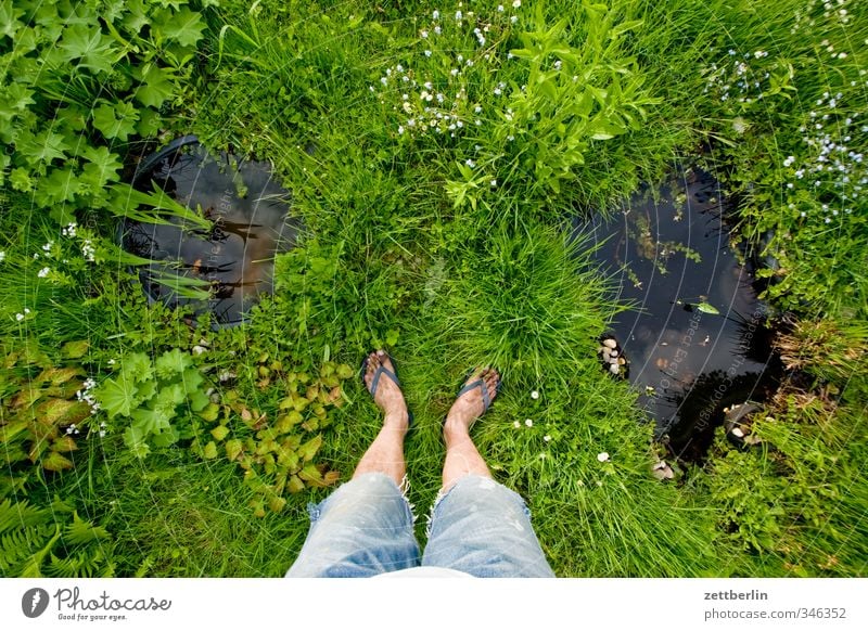 Wassergrundstück Erholung Garten Mensch maskulin Beine Fuß Umwelt Natur Pflanze Sommer Blume Gras Blüte Park Wiese Teich stehen Wachstum aktive erholung blühen