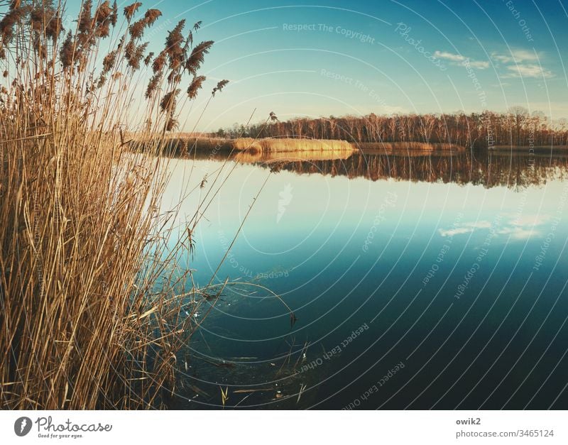 Stilles Wasser See Wasseroberfläche Idylle Weite Weitblick Horizont Reflexion & Spiegelung Windstille Natur Landschaft Außenaufnahme Umwelt Farbfoto