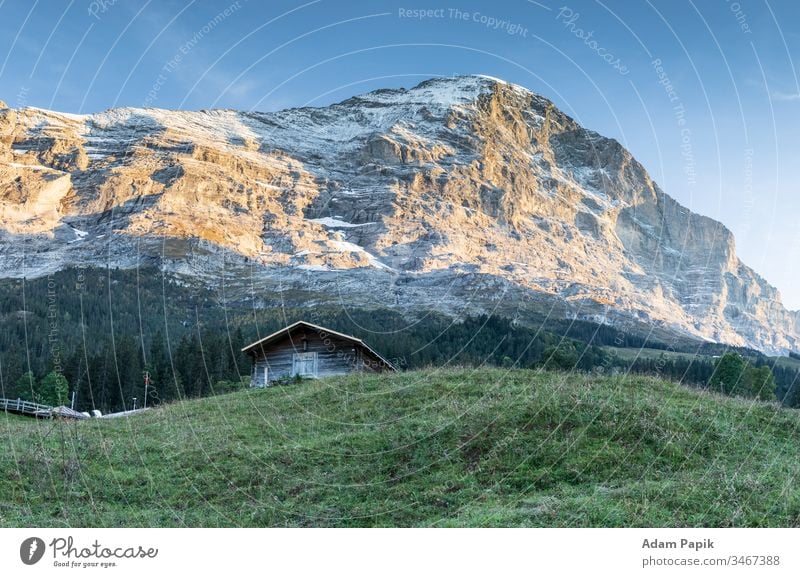 Typische Schweizer Hütte in den Berner Alpen mit dem Gipfel des Eiger im Hintergrund. reisen Pastellton Berge u. Gebirge Gras Schnee Schneekugel Bäume Sommer