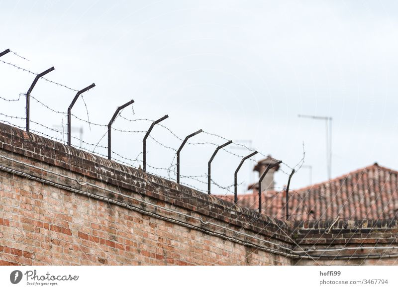 Stacheldraht auf alter Mauer Zaun Stacheldrahtzaun Hof Grenze Schutz gefährlich Metall Menschenleer stachelig bedrohlich Barriere Sicherheit Verbote