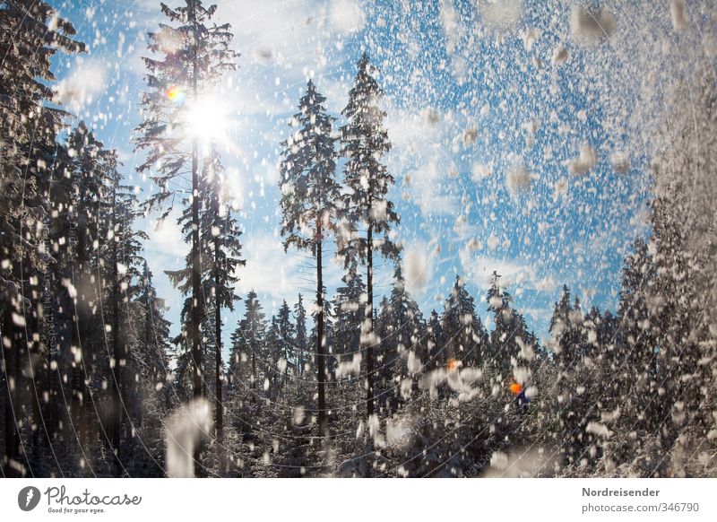 Schneekitsch Leben Winter Winterurlaub Klima Schönes Wetter Schneefall Baum Wald Erholung Freundlichkeit Fröhlichkeit Kitsch Vorfreude Optimismus