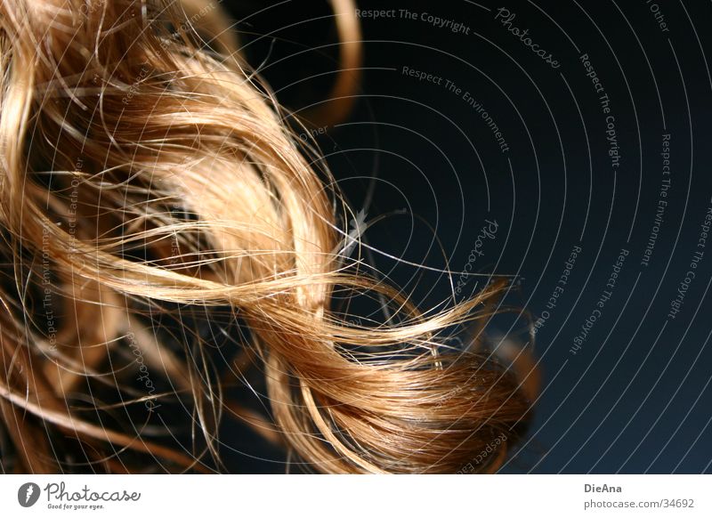 Die Locke Locken blond Wellen lang Frau curls Naturlocken Makroaufnahme Haare & Frisuren