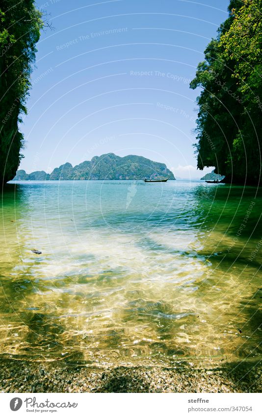 The Beach Wasser Wolkenloser Himmel Schönes Wetter Baum Strand Bucht Meer Insel Thailand Asien Südostasien ästhetisch Ferien & Urlaub & Reisen Einsamkeit