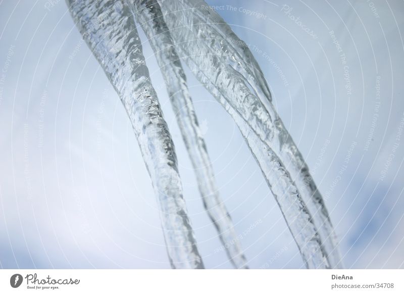 Icicle Eiszapfen Winter gefroren kalt grau Himmel Wasser blau nach unten hängen icicle water frozen cold sky