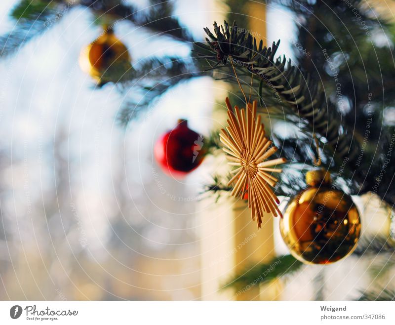 Sternenbaum Stil Wohnung Wohnzimmer Feste & Feiern gold rot Weihnachten & Advent Weihnachtsbaum Christbaumkugel Stern (Symbol) Kugel singen weihnachtslied
