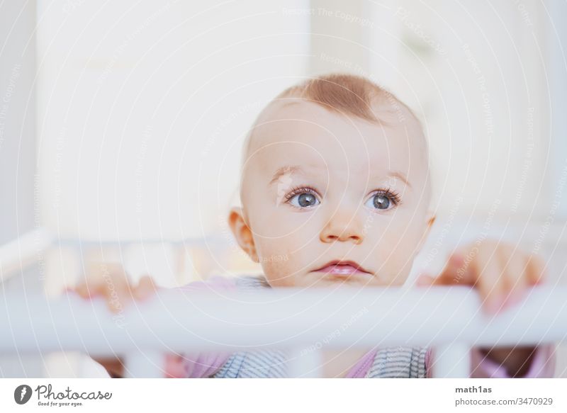 Baby-Portrait Porträt Unschuld nachdenklich gesund dick Gesicht augen