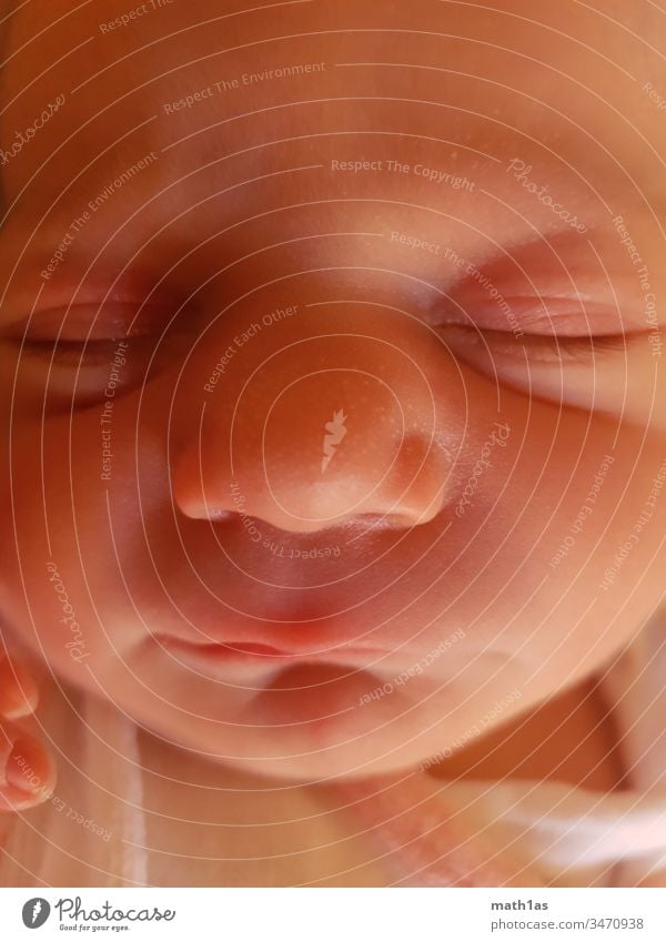 Babygesicht Totale Neugeboren Neugeborenes Child Kind Geburt Nase Augen Mund Haut Babyhaut Schlaf ruhe