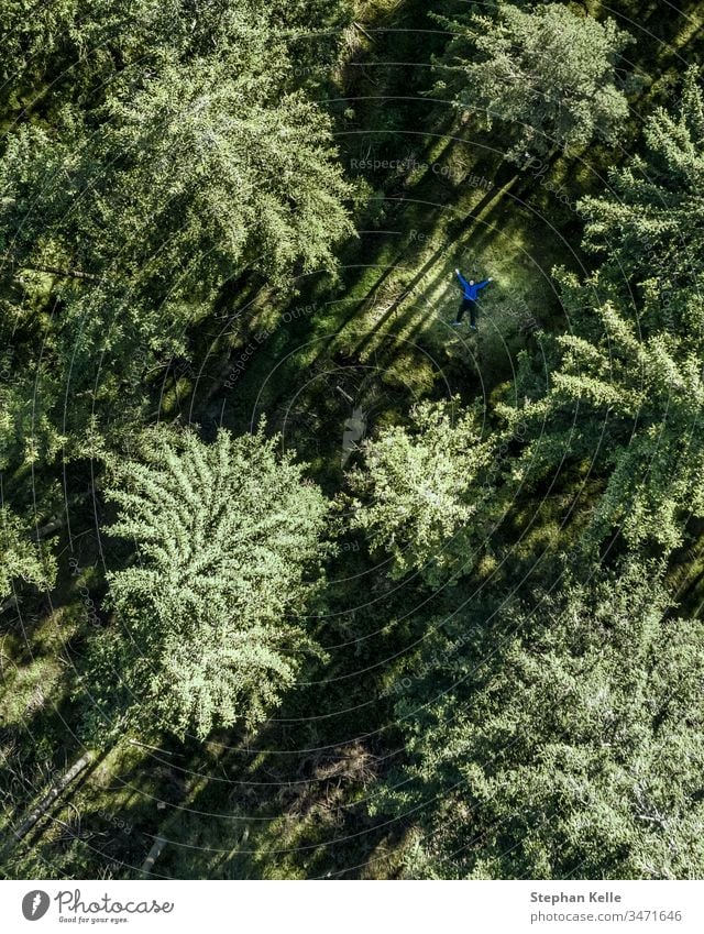 Draufsicht auf die grünen Bäume eines Waldes im Sommer. Baum Dröhnen oben Natur einfach rein Hintergrund Tag Antenne Hubschrauber Licht Schatten Außenaufnahme