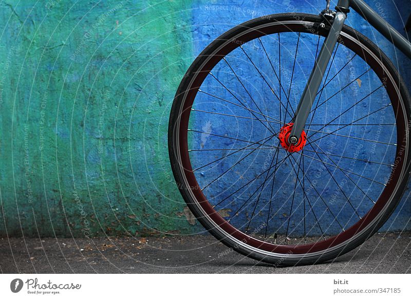 alles im blauen Bereich Sport Fitness Sport-Training Erfolg Fahrradfahren Mauer Wand Fassade Stein Beton Linie sportlich grün schwarz Bewegung Ordnung Trennung