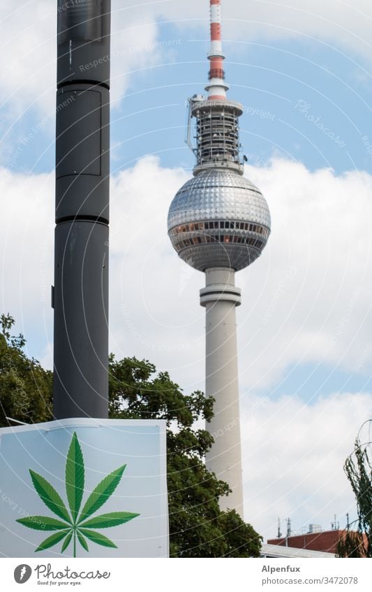 hier riechts doch nach |... Berlin Marihuana Erholung Cannabis Medikament Rauschmittel Pflanze Berliner Fernsehturm Außenaufnahme Hanf Medizin Alternativmedizin