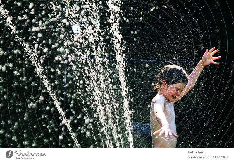 spritzig duschen Frühling Familie & Verwandtschaft erfrischend Spaß haben Außenaufnahme Farbfoto nass summerfeeling Sonnenlicht Schwimmen & Baden Lebensfreude