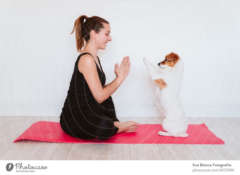 junge frau zu hause macht yoga auf einer matte. süßer kleiner hund nebenbei. gesunder lebensstil konzept betend Hund Yoga Frau heimwärts Unterlage Haustier