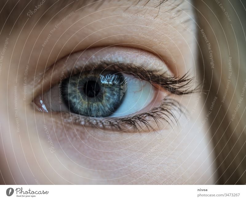 Jungenauge Auge Nahaufnahme Blick Wimpern Pupille Gesicht Augenbraue Mensch Detailaufnahme blau Makroaufnahme Regenbogenhaut Augenfarbe Haut weiß Sehvermögen