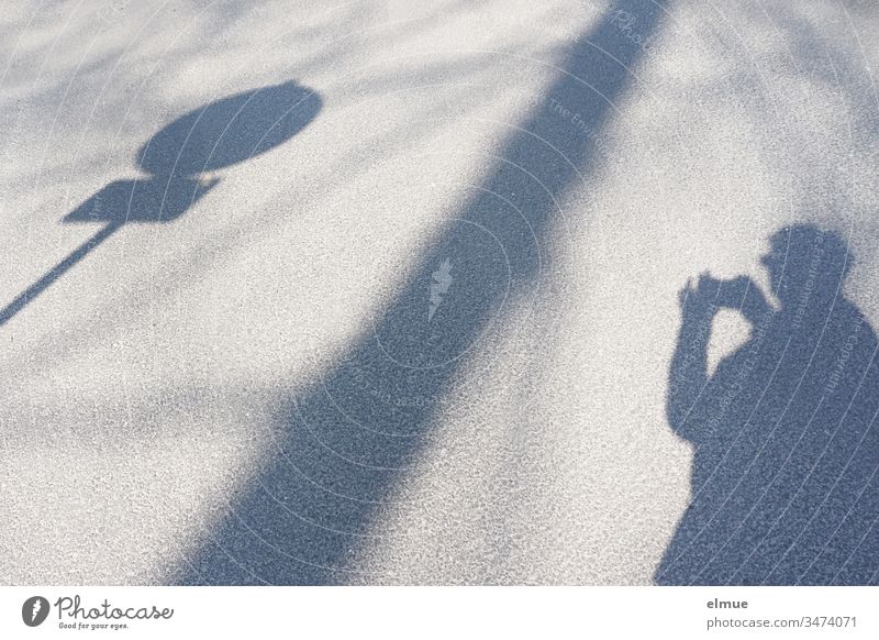Schatten von Person, Baum und Verkehrszeichen Schattenspiel Verkehrsschild Licht Wege & Pfade Menschenleer Farbfoto Außenaufnahme Straße fotografieren