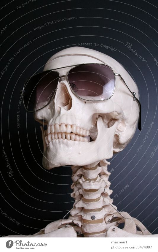 Skelett mit Sonnenbrille Knochen Kopf Schädel tot Tod Brille schwarz menschlich Körper sonnenbrille Punktschrift kopf schŠdel knochen