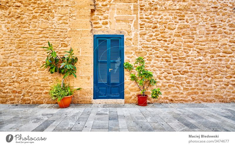 Alte Steinmauer mit blauer Tür und Topfblumen an einer Straße. Wand Spanien alt Stadt Mallorca antik Alcudia Gebäude Haus reisen Straßenbelag Architektur Sommer