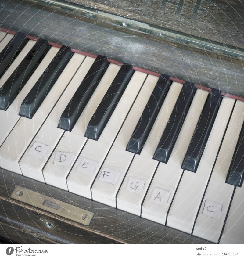 Stummes H Klavier alt Tasten Tonleiter verstaubt lernen Hilfe Lösungen Improvisieren Notlösung Töne verstimmt Innenaufnahme Detailaufnahme Klaviatur