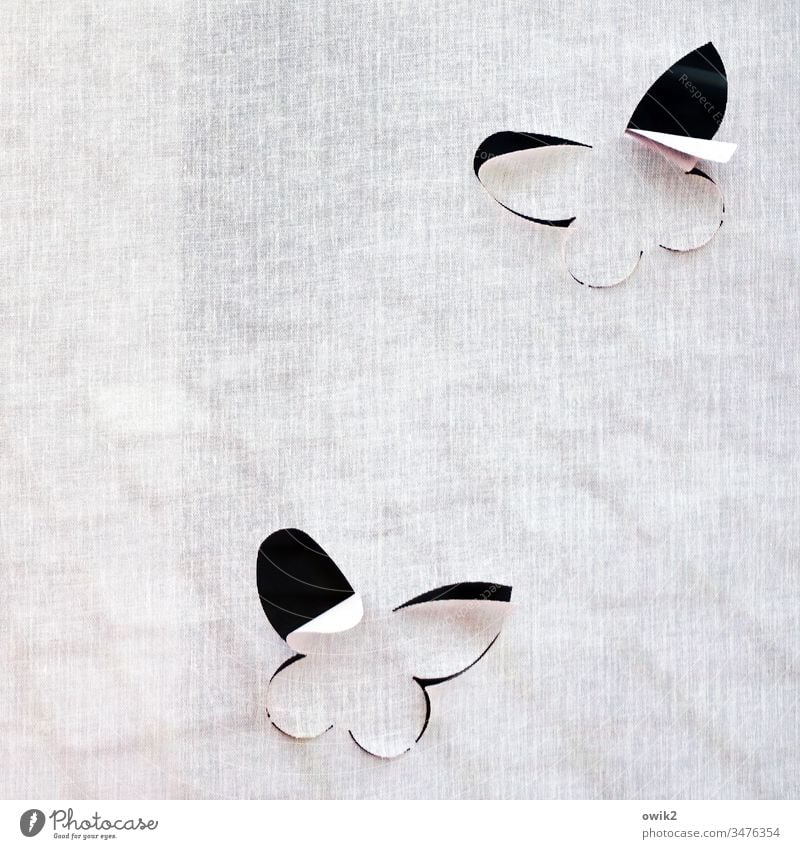 Capriccio flattern Schmetterling Deko ausgeschnitten Kunst einfach abstrakt zwei Paar kapriziös unbeständig leicht Leichtigkeit Flügel Nahaufnahme fliegen