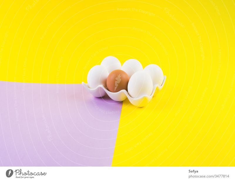 Weißes und ein braunes Ei auf Gelb und Violett Ostern Eier gelb Farbe Duoton fett einzigartig anders Lebensmittel Feiertag feiern purpur Hintergrund Design
