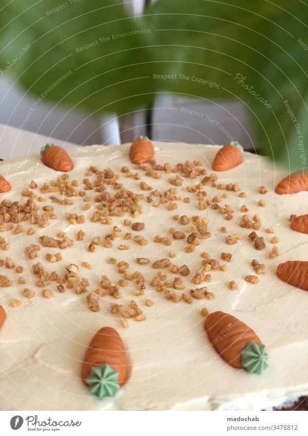 Rübli-Kuchen Karottenkuchen auf Tisch zu Ostern Ernährung Lebensmittel backen Foodfotografie Dessert Gesunde Ernährung Backwaren süß lecker