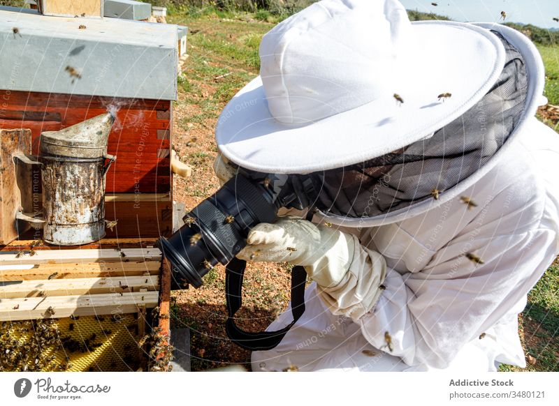 Imker beim Fotografieren eines Bienenstocks in einem Bienenhaus fotografieren Fotokamera Bienenkorb behüten Arbeitskleidung schießen Bild professionell