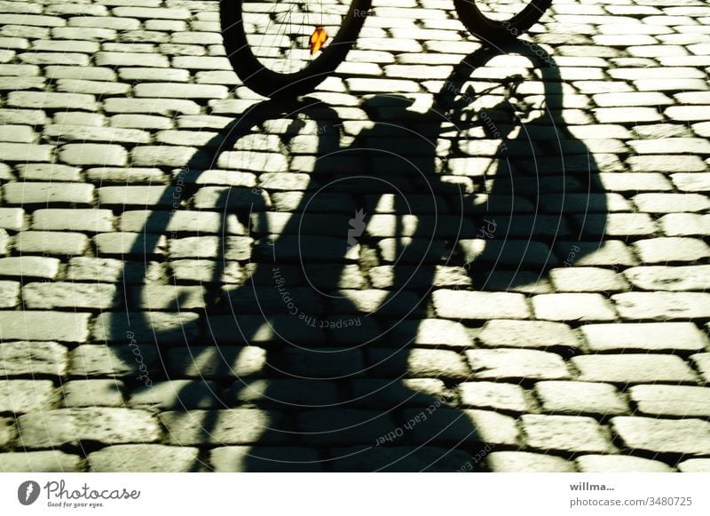 Radtour übers Kopfsteinpflaster Radfahren Schatten Radeln Fahrrad sonnig Fahrradfahren Bewegung an frischer Luft Straße Freizeit & Hobby Verkehrsmittel Radsport