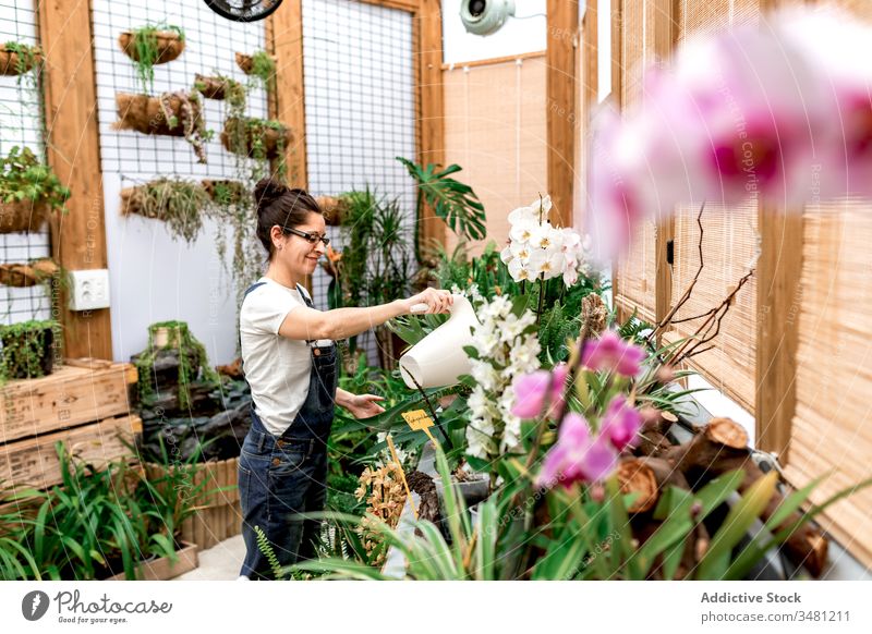 Frau gießt Blumen im Innengarten Wasser Arbeit Pflanze Botanik Gärtner Wachstum kultivieren Pflege Gewächshaus Gartenbau Flora Kleinunternehmen Besitzer frisch