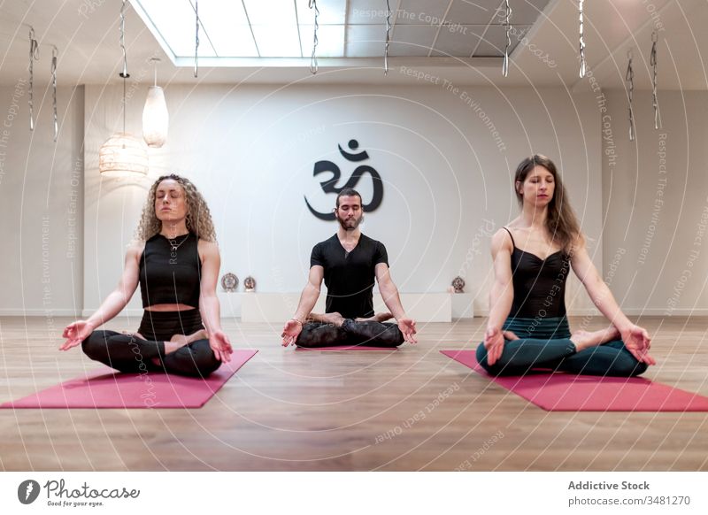 Gruppe von Menschen, die auf Lotus sitzen, posieren auf Matten Frauen Mann Lotus-Pose Yoga Raum Klasse Körper Gesundheit Mudra Erholung Training Zusammensein