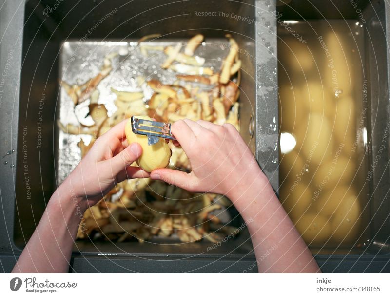 Kartoffeln schälen Gemüse Kartoffelschale Ernährung Mittagessen Sparschäler Koch Küche Gastronomie Leben Hand 1 Mensch Küchenspüle festhalten Gesundheit